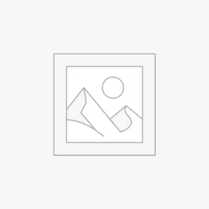 Analytics & Insights